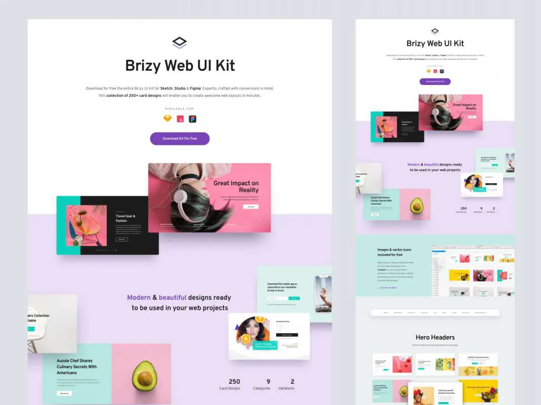 Brizy Web UI Kit for Figma and Adobe XD No 1