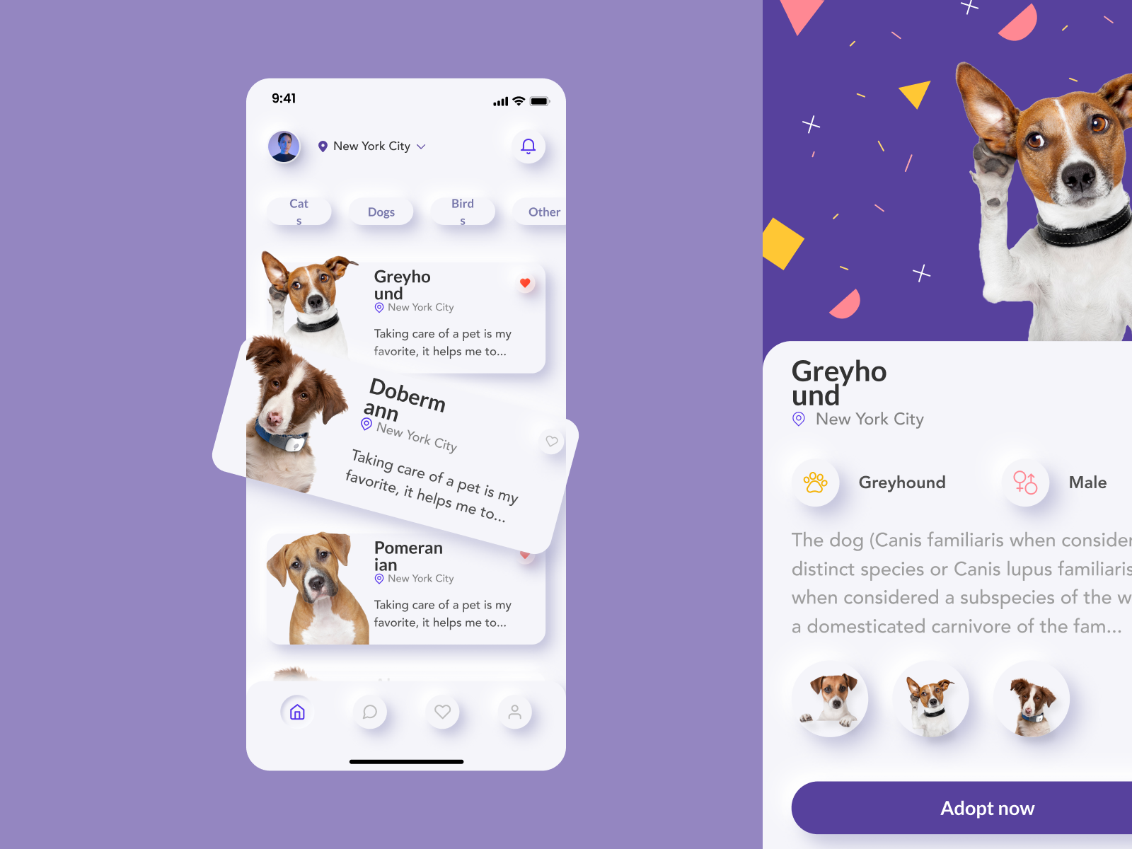 Pet Adoption Mobile App for Figma and Adobe XD No 3