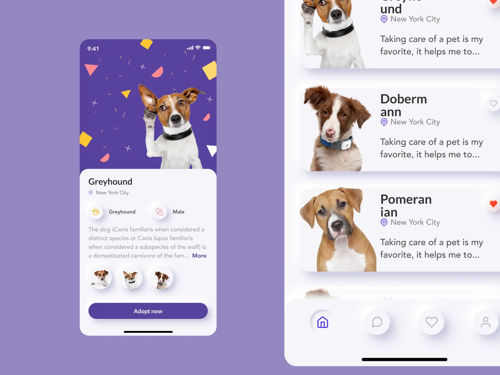 Pet Adoption Mobile App for Figma and Adobe XD No 4