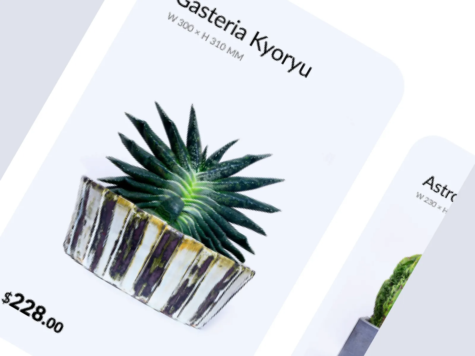 Plant Shop for Figma and Adobe XD No 4