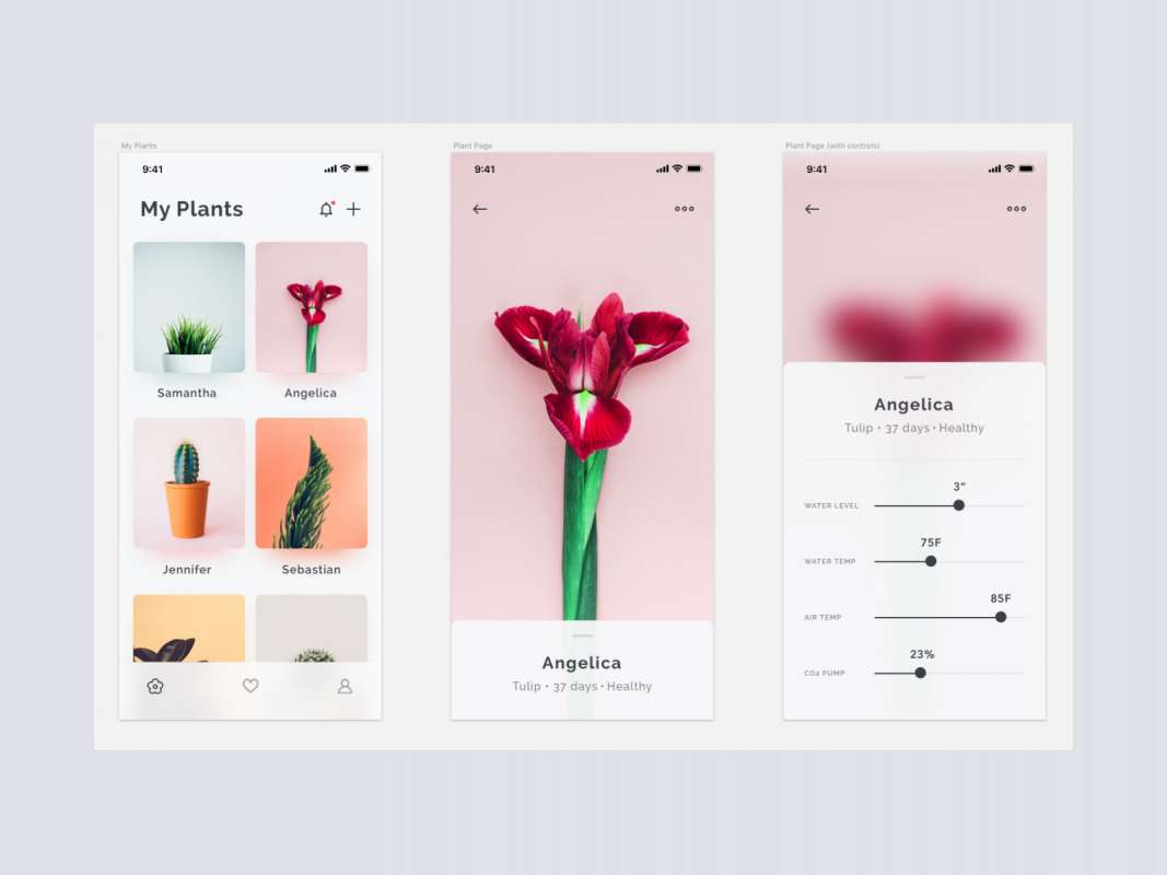 Plants App Concept for Figma and Adobe XD No 1