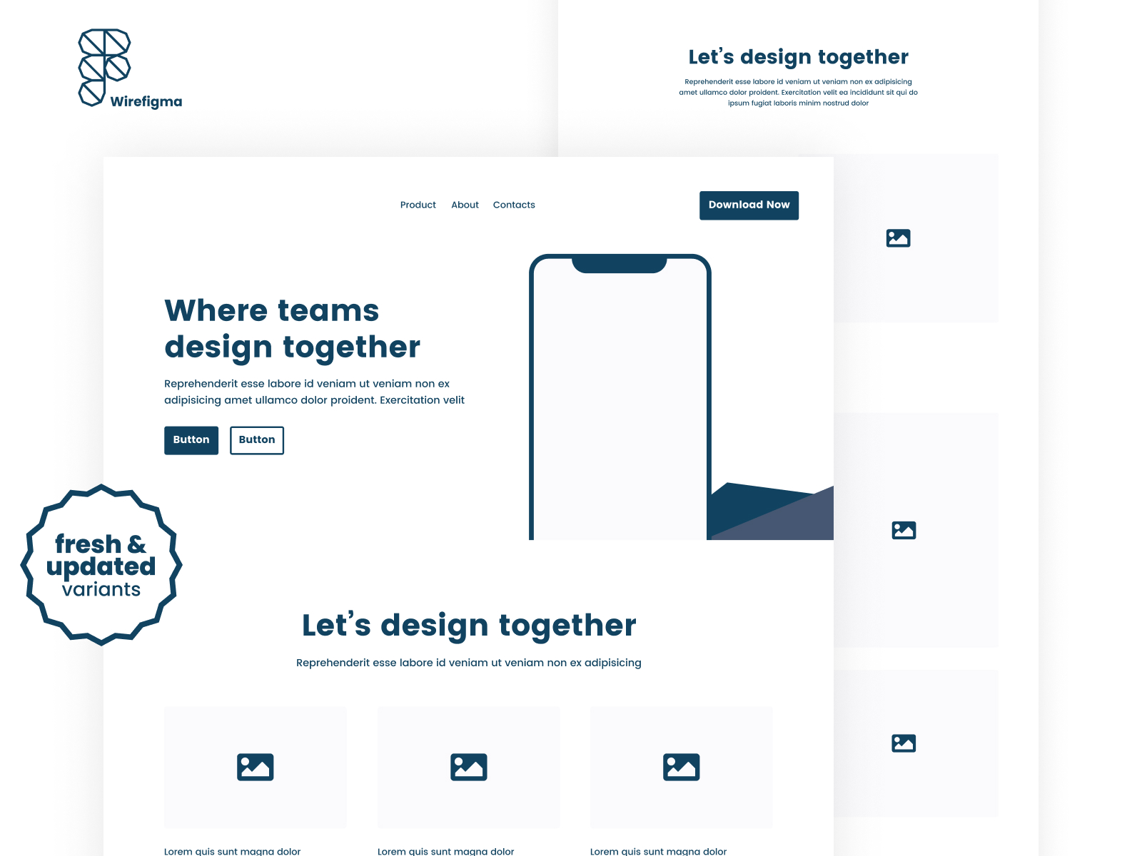 Web and Mobile Wireframes