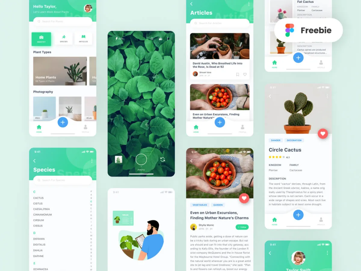 Plant App for Figma and Adobe XD No 1
